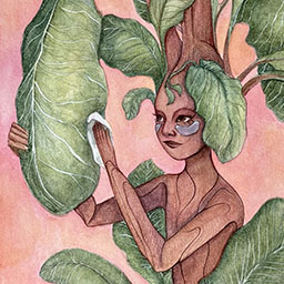 Fiddle Leaf Fig Tree