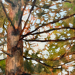 05 be still and know 