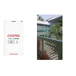 An Ode To My Friends