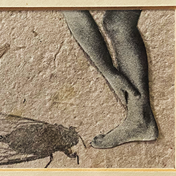 deep in my chest or maybe stomach (detail no. 13)