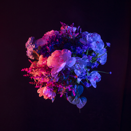 Ethereal Blooms