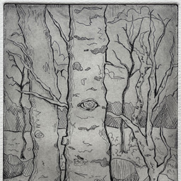 (09) Birch Watcher