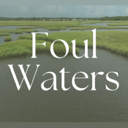 Foul Waters 