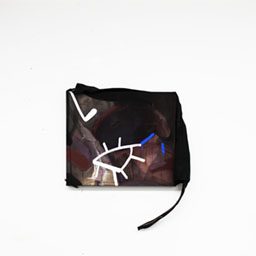 Women of the sun land