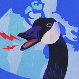 I AM CANADIAN CONTENT