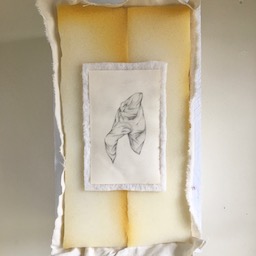 Quite An Everyday Thing (1)