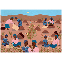 The Knowledge Holders of Rooibos