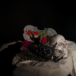 Vanitas for the Arts Student