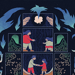 Clearly Misunderstood