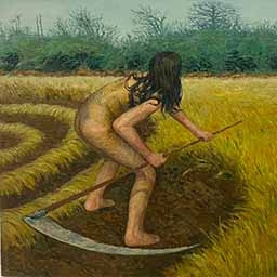 Crop Circles